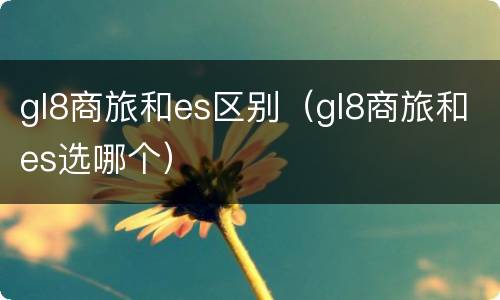 gl8商旅和es区别（gl8商旅和es选哪个）