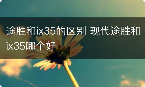 途胜和ix35的区别 现代途胜和ix35哪个好