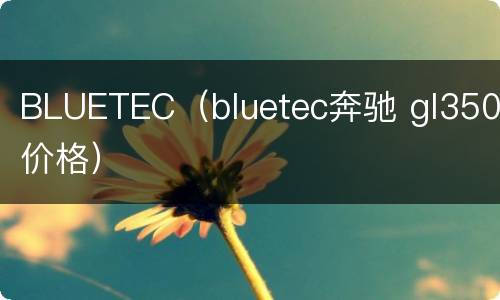 BLUETEC（bluetec奔驰 gl350价格）