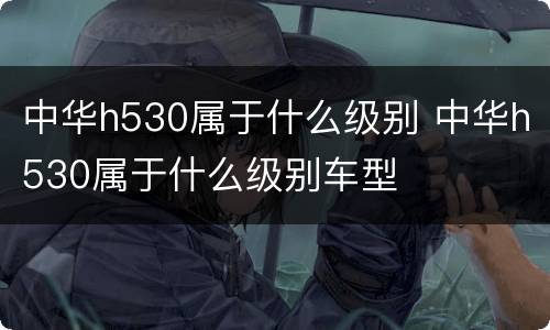 中华h530属于什么级别 中华h530属于什么级别车型