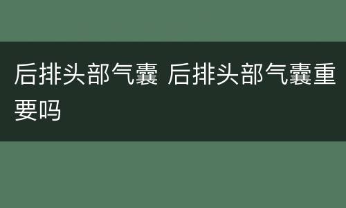 后排头部气囊 后排头部气囊重要吗