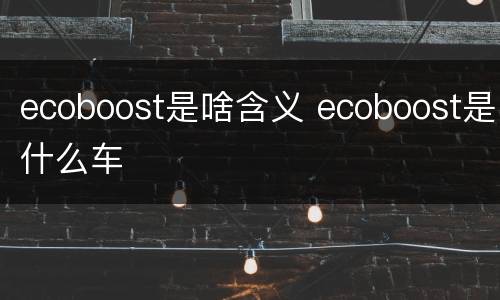 ecoboost是啥含义 ecoboost是什么车