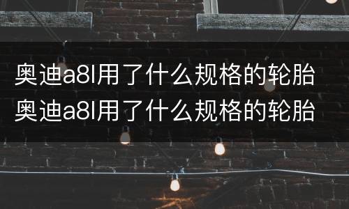 奥迪a8l用了什么规格的轮胎 奥迪a8l用了什么规格的轮胎