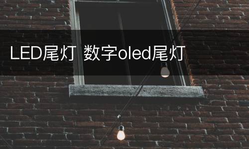 LED尾灯 数字oled尾灯