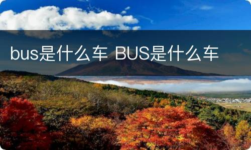 bus是什么车 BUS是什么车