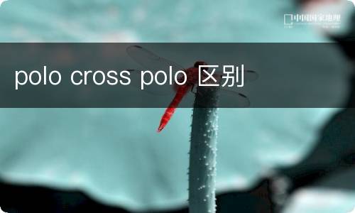 polo cross polo 区别