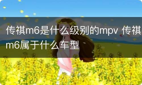 传祺m6是什么级别的mpv 传祺m6属于什么车型