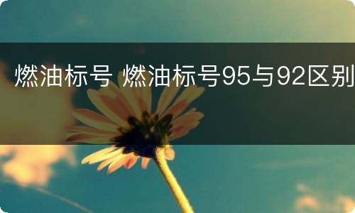 燃油标号 燃油标号95与92区别