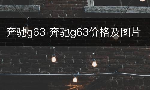 奔驰g63 奔驰g63价格及图片