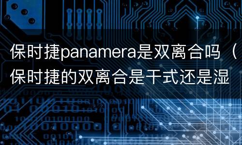 保时捷panamera是双离合吗（保时捷的双离合是干式还是湿式的）