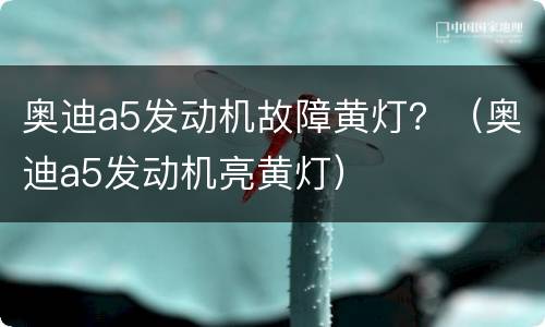 奥迪a5发动机故障黄灯？（奥迪a5发动机亮黄灯）