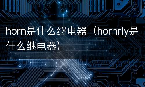 horn是什么继电器（hornrly是什么继电器）