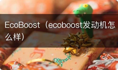 EcoBoost（ecoboost发动机怎么样）