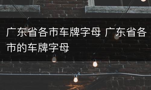 广东省各市车牌字母 广东省各市的车牌字母