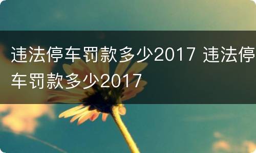 违法停车罚款多少2017 违法停车罚款多少2017