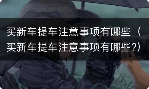 买新车提车注意事项有哪些（买新车提车注意事项有哪些?）