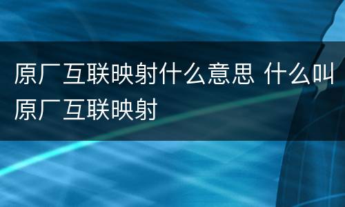 原厂互联映射什么意思 什么叫原厂互联映射