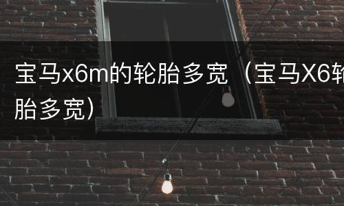 宝马x6m的轮胎多宽（宝马X6轮胎多宽）