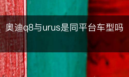 奥迪q8与urus是同平台车型吗