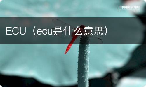 ECU（ecu是什么意思）