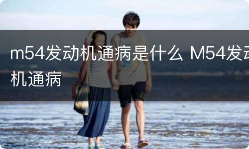 m54发动机通病是什么 M54发动机通病