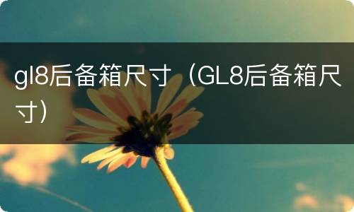 gl8后备箱尺寸（GL8后备箱尺寸）