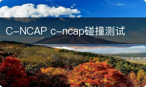 C-NCAP c-ncap碰撞测试