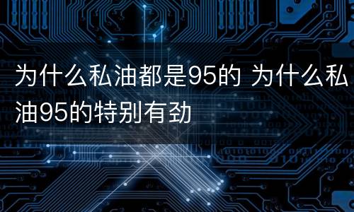 为什么私油都是95的 为什么私油95的特别有劲