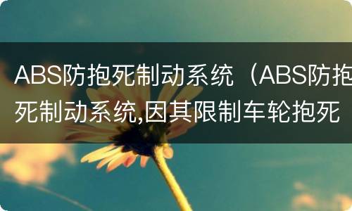 ABS防抱死制动系统（ABS防抱死制动系统,因其限制车轮抱死）