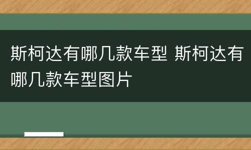 斯柯达有哪几款车型 斯柯达有哪几款车型图片