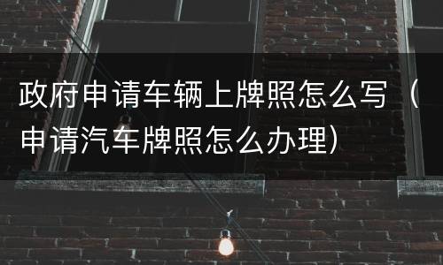 政府申请车辆上牌照怎么写（申请汽车牌照怎么办理）