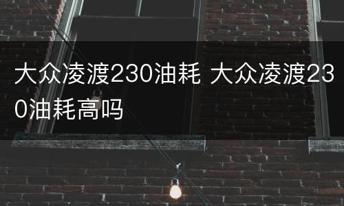 大众凌渡230油耗 大众凌渡230油耗高吗