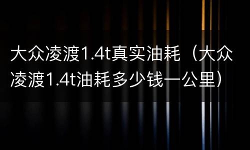 大众凌渡1.4t真实油耗（大众凌渡1.4t油耗多少钱一公里）