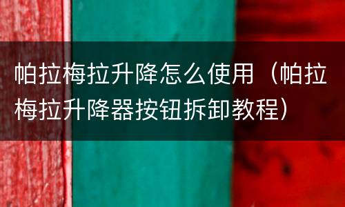 帕拉梅拉升降怎么使用（帕拉梅拉升降器按钮拆卸教程）