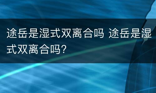 途岳是湿式双离合吗 途岳是湿式双离合吗?