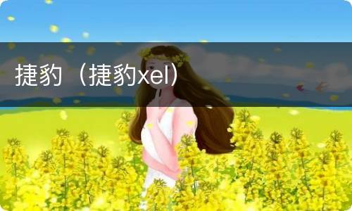 捷豹（捷豹xel）