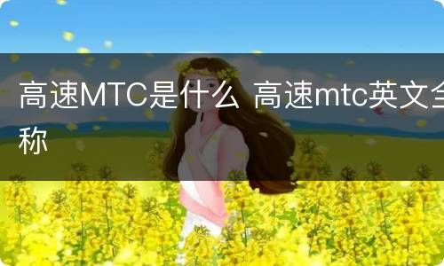 高速MTC是什么 高速mtc英文全称