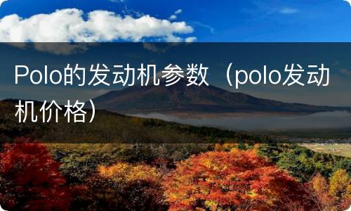 Polo的发动机参数（polo发动机价格）