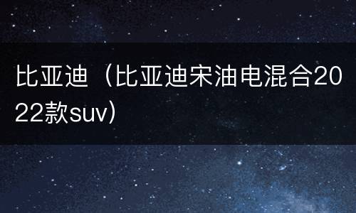 比亚迪（比亚迪宋油电混合2022款suv）