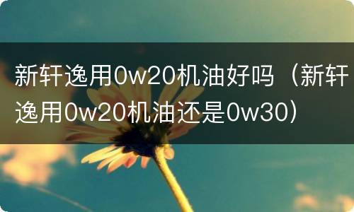 新轩逸用0w20机油好吗（新轩逸用0w20机油还是0w30）