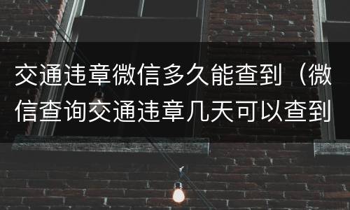 交通违章微信多久能查到（微信查询交通违章几天可以查到）