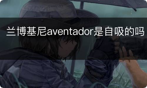 兰博基尼aventador是自吸的吗