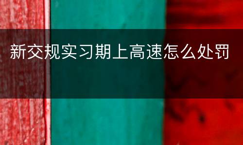 新交规实习期上高速怎么处罚