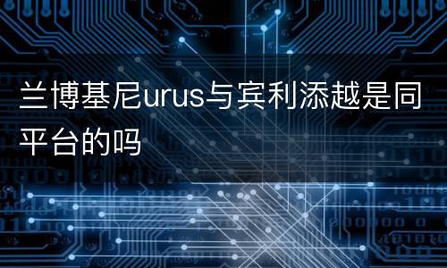 兰博基尼urus与宾利添越是同平台的吗