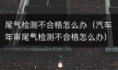 尾气检测不合格怎么办（汽车年审尾气检测不合格怎么办）