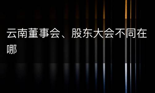 云南董事会、股东大会不同在哪