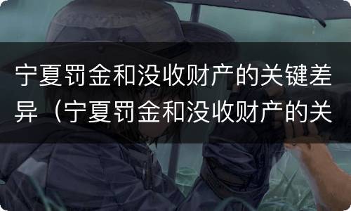 宁夏罚金和没收财产的关键差异（宁夏罚金和没收财产的关键差异有哪些）