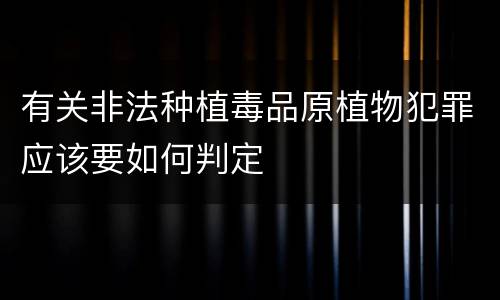 有关非法种植毒品原植物犯罪应该要如何判定