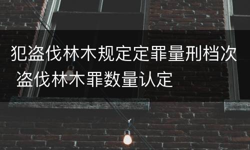 发行权及发表权主要不同之处有何 发行权与发表权的区别