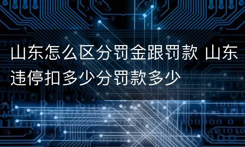 山东怎么区分罚金跟罚款 山东违停扣多少分罚款多少